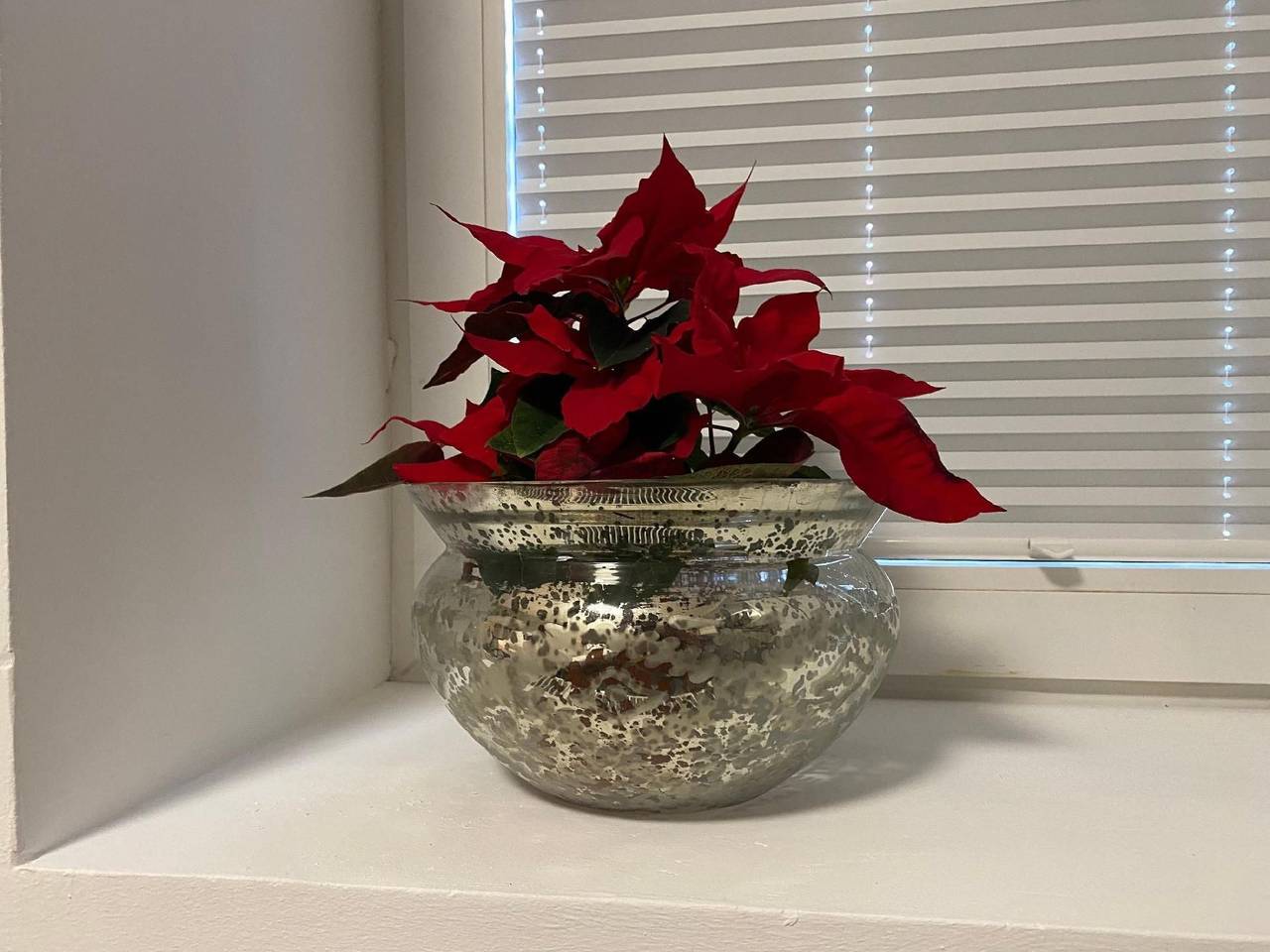 Ganze Wohnung, In Hameln mit Garten in Hameln, Weserbergland