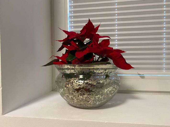 Ferienwohnung für 2 Personen, mit Garten in Hameln - 3