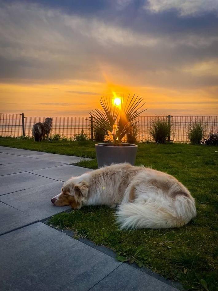 Ferienhaus für 4 Personen, mit Garten in Nordholland - 2
