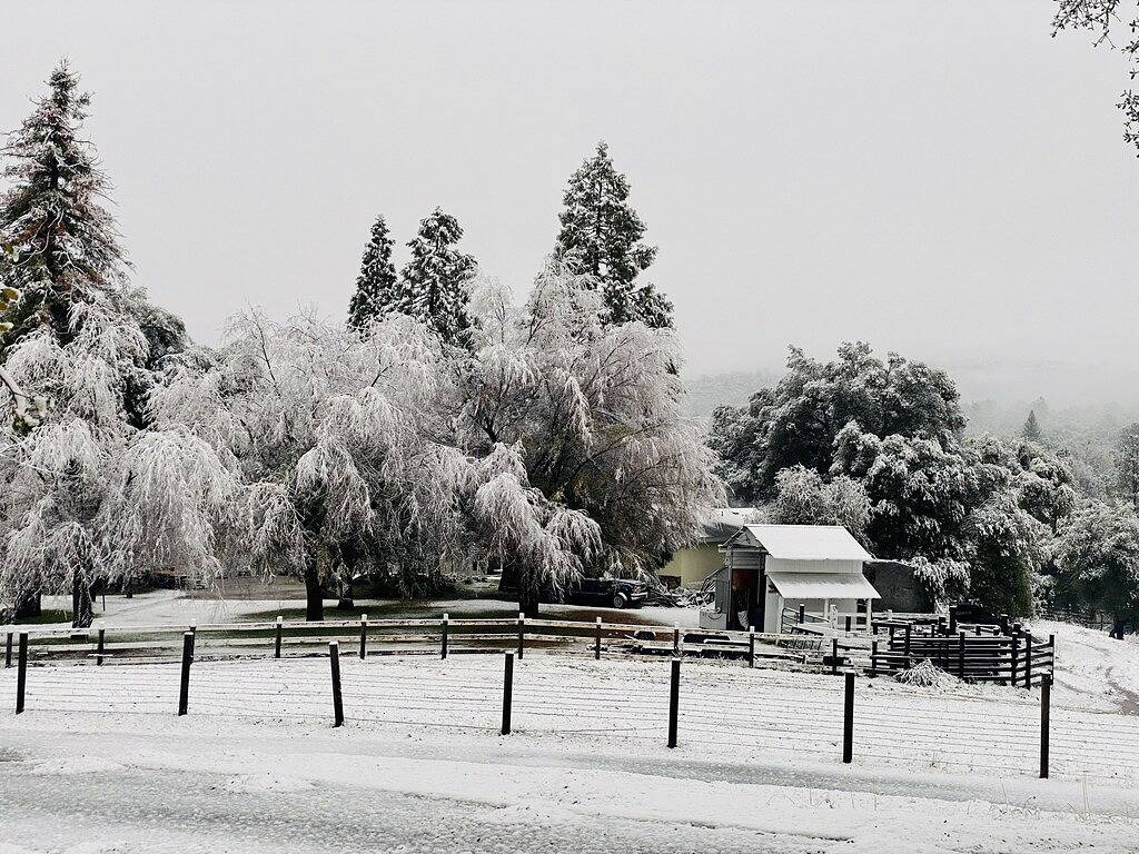 Mountain Escape Near Yosemite South Gate, Hot Tub, Views, Games & Pet friendly! in Oakhurst, Madera County