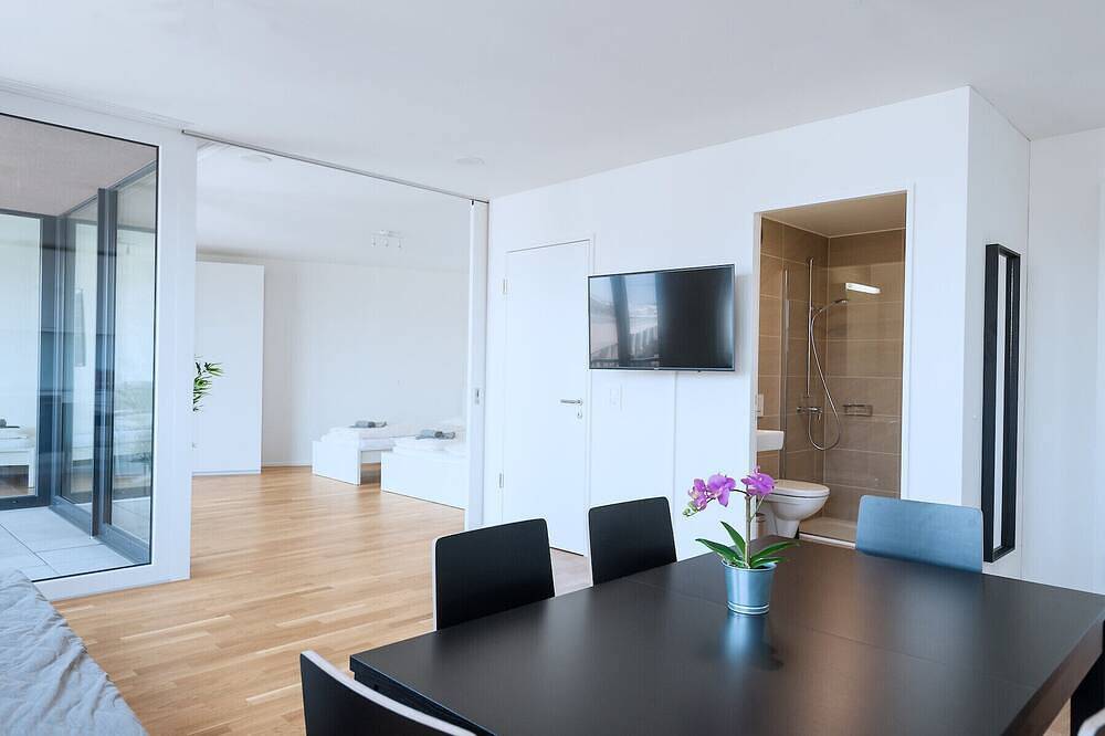 Apartamento entero, Bs Rabbit V - Messe Hitrental Apartment in Basilea, Aargau-Basel