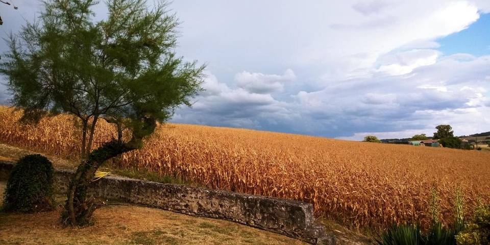 Gîte pour 6 personnes, avec piscine ainsi que vue et jardin, adapté aux familles à Nanteuil-Auriac-de-Bourzac - 3