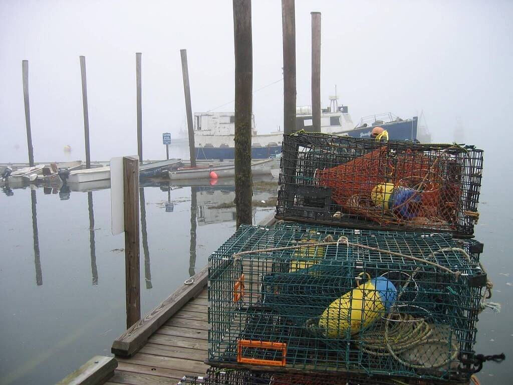 Picture Perfect ~ Oceanfront ~ Balkon ~ Haustierfreundlich ~ Feuerstelle ~ Art Studio ~ Deck ~ Wifi in Washington County (Maine)