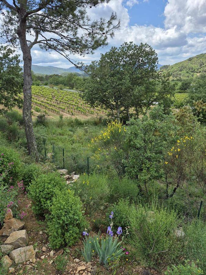 Gîte pour 4 personnes, avec terrasse ainsi que piscine et vue à Rocbaron - 4