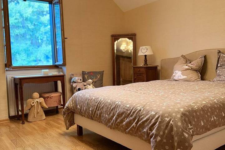 Location de vacances pour 15 personnes, avec jardin ainsi que piscine et balcon à Dambach (homonymie) - 2