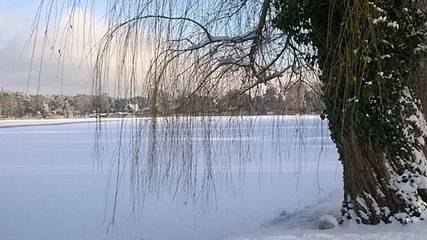 Ferienwohnung für 4 Personen in Teupitzer See, Schwerin (Brandenburg), Bild 2