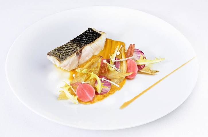 Hôtel pour 2 personnes, animaux acceptés à Ottrott - 4