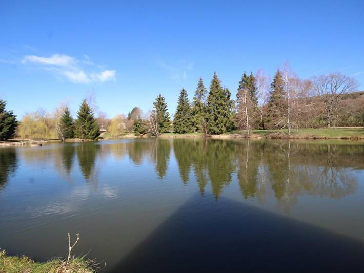 Geräumiges Chalet am Teich im Morvan, Haustiere erlaubt, privater Parkplatz in Gouloux, Naturpark Morvan