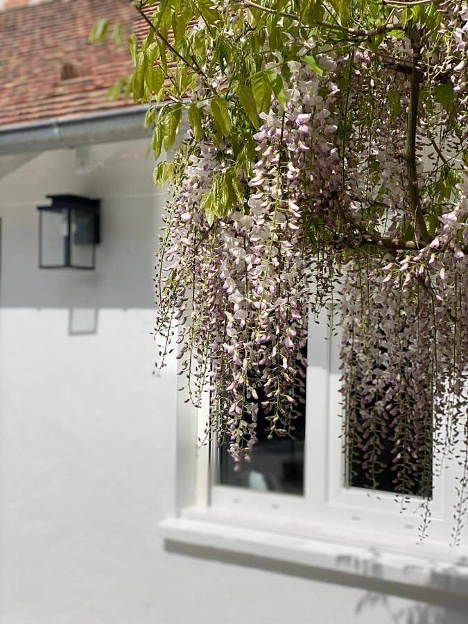 Villa pour 4 personnes dans Seine-et-Marne - 2