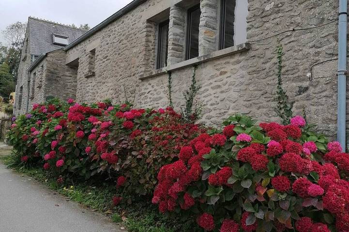Gîte pour 5 personnes, animaux acceptés