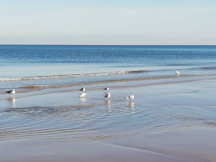 Ferienwohnung für 2 Personen, mit Garten, kinderfreundlich in Baabe - 3