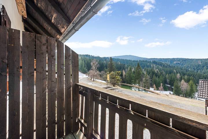 Ferienwohnung, mit Garten und Sauna in Weststeiermark - 2