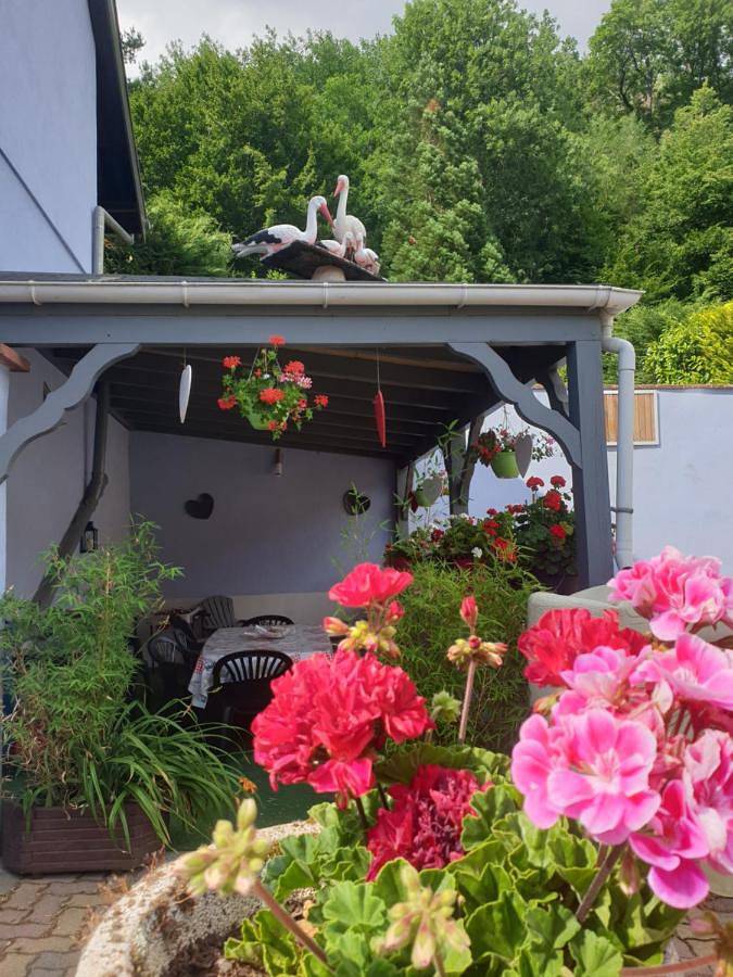 Location de vacances pour 8 personnes, avec terrasse et vue, animaux acceptés à Bœrsch - 3