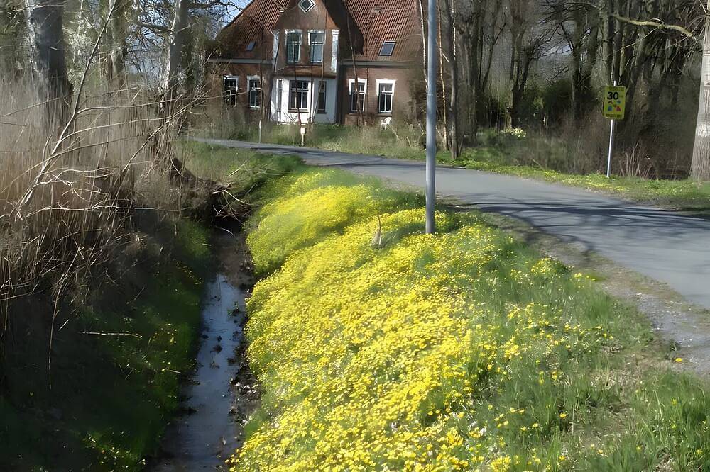 Ganze Wohnung, Ferienwohnung 'Die Große unter den Linden' mit Gemeinschaftsgarten und Wi-Fi in Schülp, Nordsee - Schleswig-Holstein