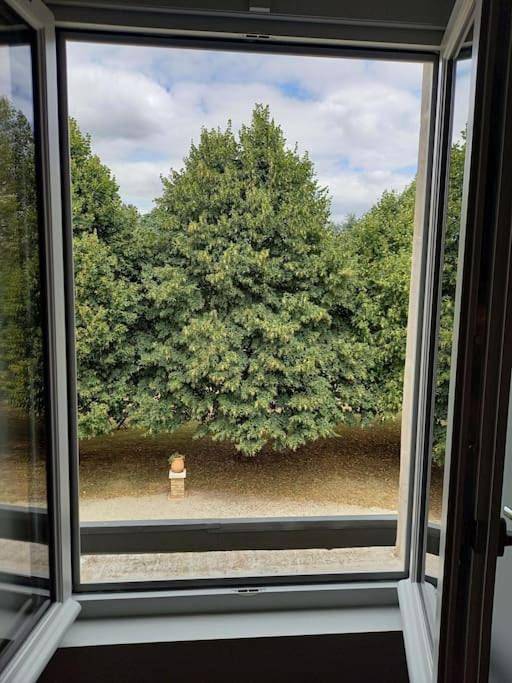 Gîte pour 2 personnes, avec jardin à Saintes - 3