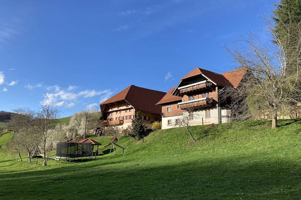 Ganze Wohnung, Ferienwohnung Schwörerhof mit Bergblick, privater Terrasse und Wlan in Schuttertal, Hochschwarzwald
