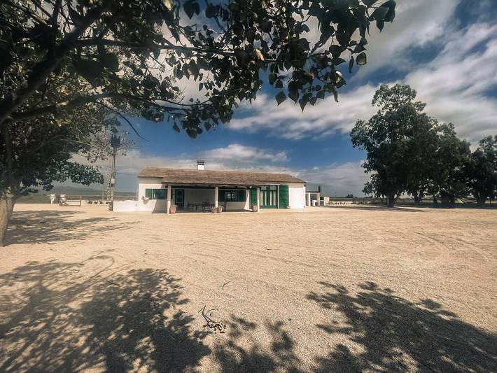 Chalet para 12 personas, con jardín, Se admiten mascotas en Delta del Ebro - 4