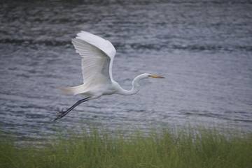Bungalow für 6 Personen in Ocean Pines, Worcester County, Bild 1