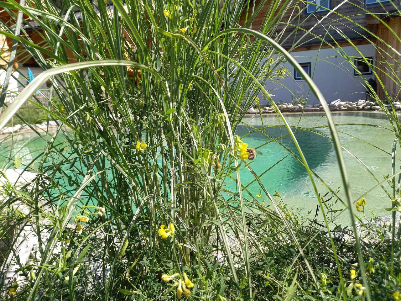 Birnbaum Chalet Kreuzkogel mit Badesee und Garten in Großarl, Ski Amadé