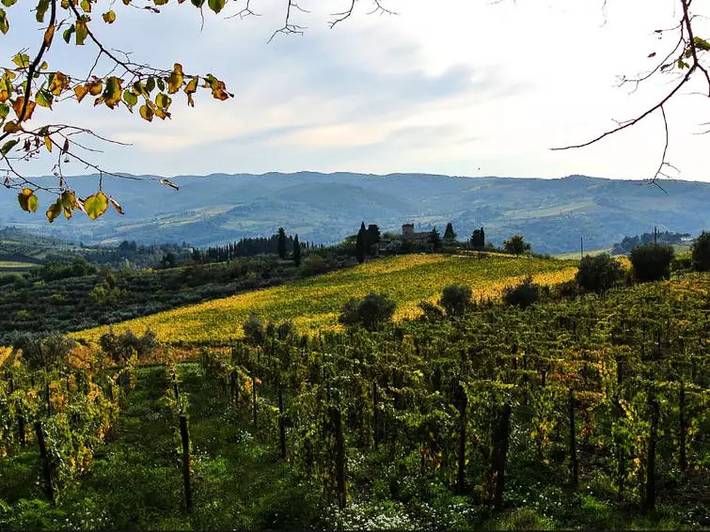 Agriturismo voor 3 personen, met terras in Greve In Chianti