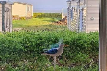 Chalet für 4 Personen, mit Terrasse in Westerland (Niederlande)
