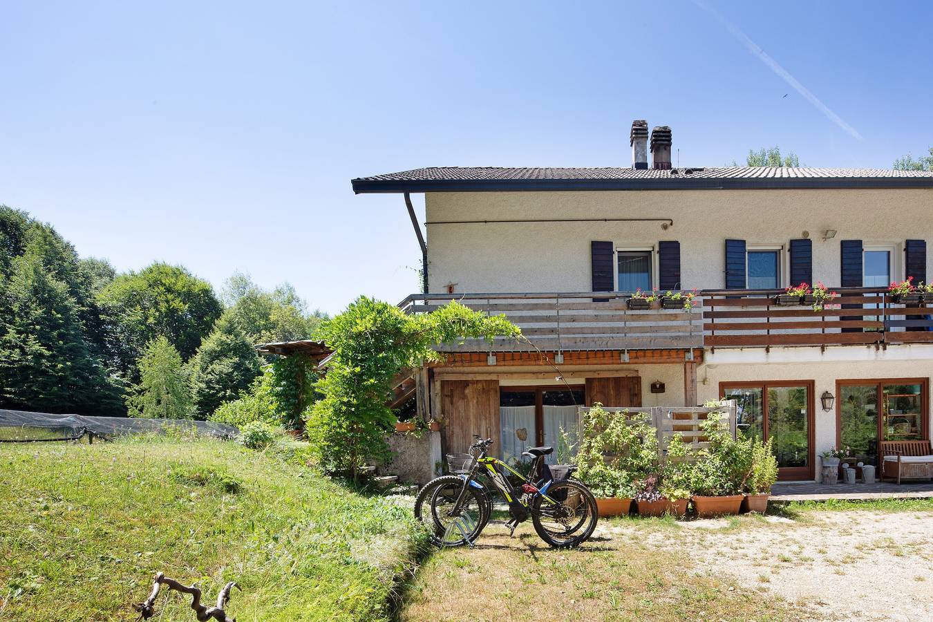 Gehele studio, Studio-appartement 'Casa Betulla - Cirmolo' met gedeeld terras, tuin en wifi in Limana, Carnic Prealps