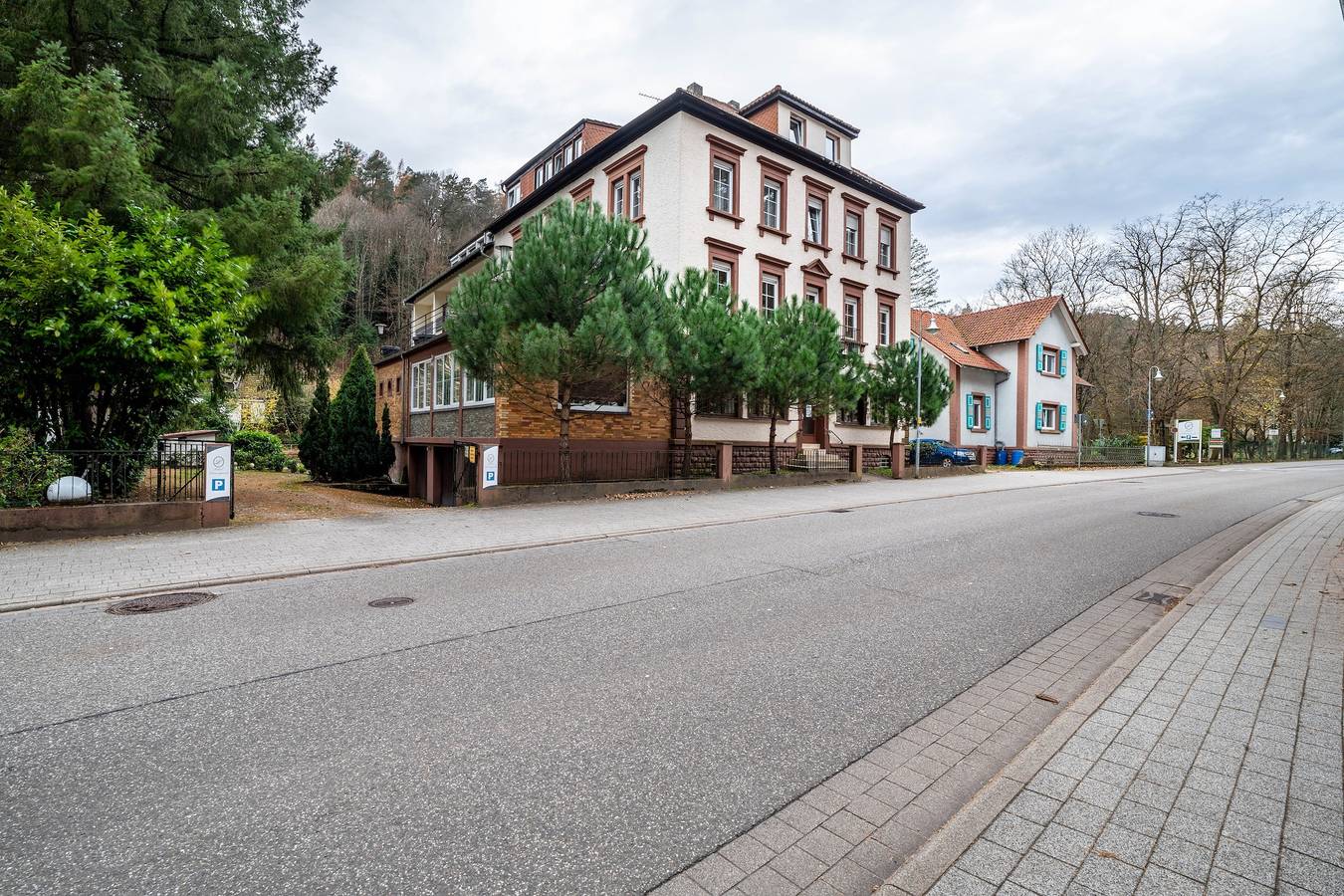 Ganze Wohnung, Ferienwohnung Luise" mit privater Terrasse, Balkon und Wi-Fi in Bad Bergzabern, Südliche Weinstraße