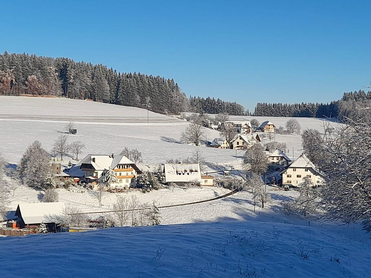 Dischhof - Ferienwohnung 90qm, 3 Schlafzimmer, max. 7 Pers. , 1 - 7 Personen in Biederbach, Südschwarzwald