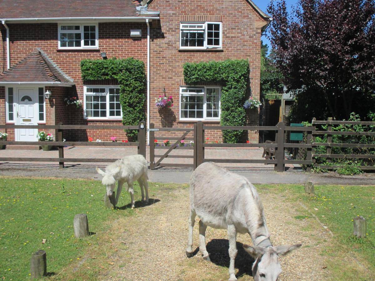 Hops Annex in Brockenhurst, Hampshire