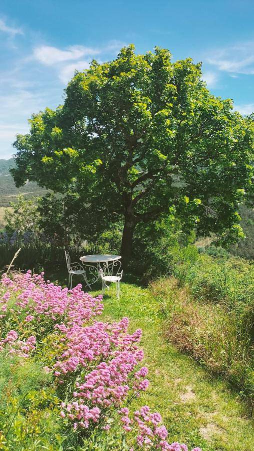 Chambre d’hôte pour 5 personnes, avec terrasse ainsi que piscine et vue dans Hautes-Alpe - 3