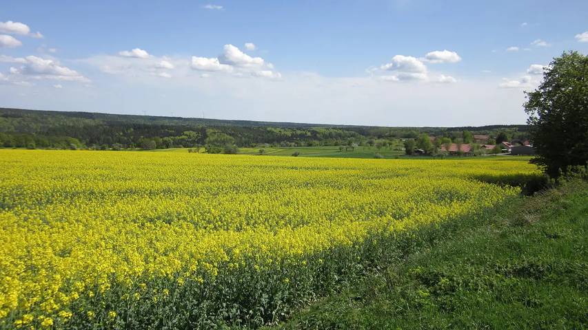 Ferienwohnung für 2 Personen, mit Garten und Sauna im Odenwald - 4
