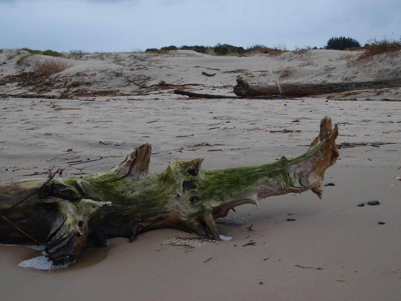 Kustenhafen Ruckzug -- By Traum Ferienwohnungen in Skiveren, Tannisbucht