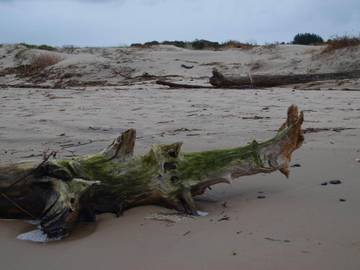 Feriehus til 8 Personer i Ålbæk, Tannisbucht, Bilde 4