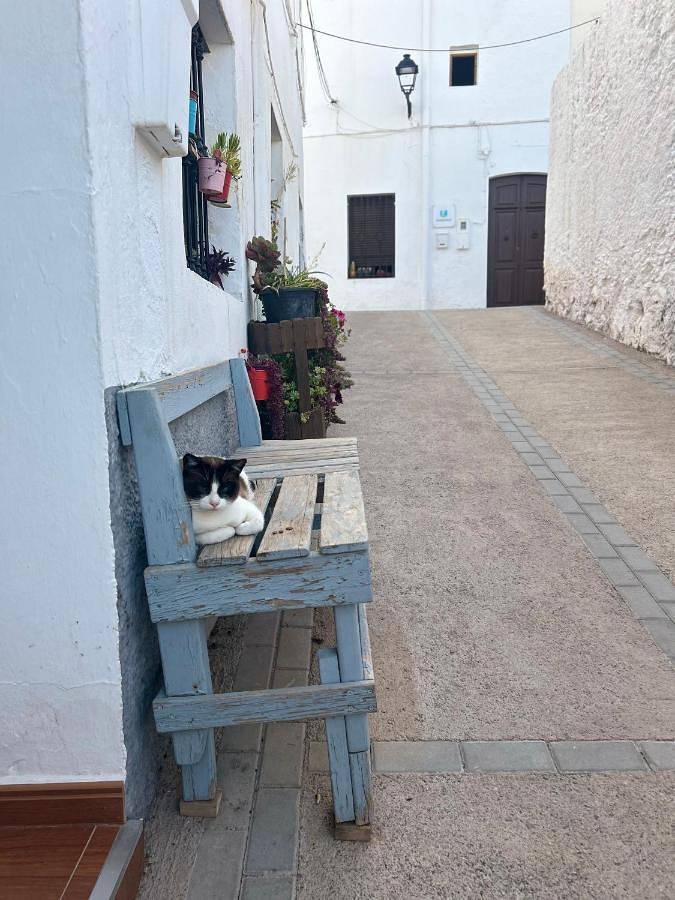 Casa rural para 7 personas, con vistas y terraza, Se admiten mascotas en Felix - 2