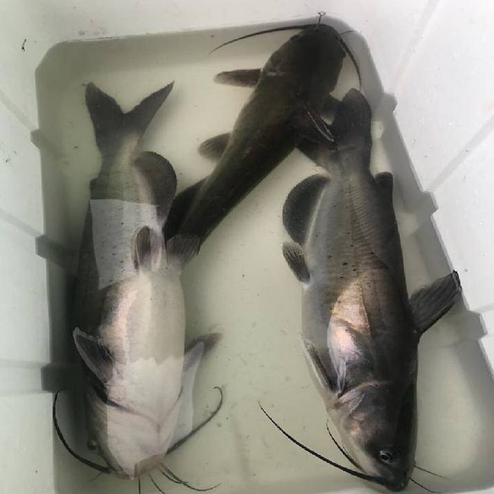 Ferienwohnung für 6 Personen, mit Balkon und Pool sowie Whirlpool - 1