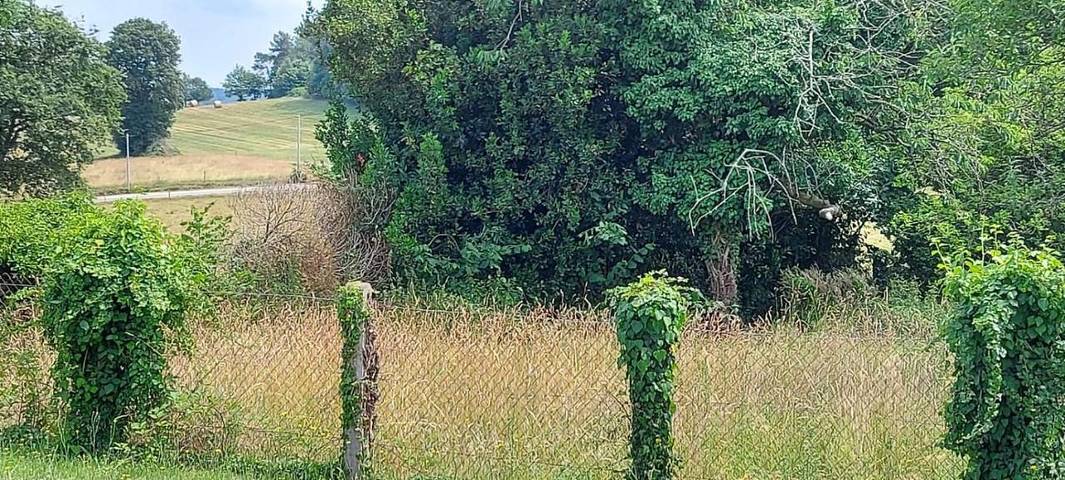Location de vacances pour 2 personnes, avec vue et jardin, adapté aux familles à Saint-Congard - 4