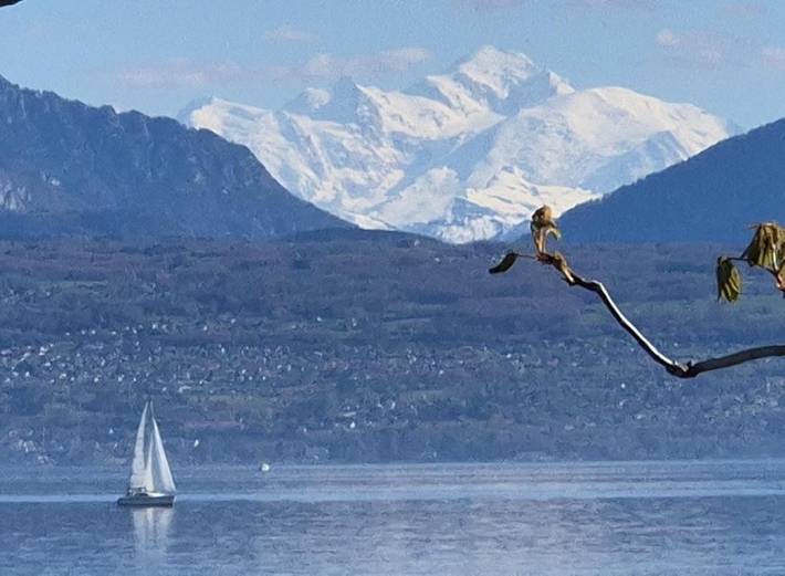 Hôtel pour 2 personnes, avec terrasse ainsi que vue et vue sur le lac à Morges - 4