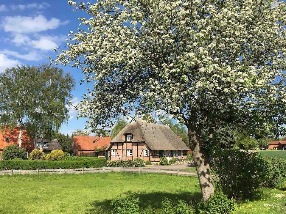 Haus Ruhe unter Reet in Hohwacht, Hohwachter Bucht
