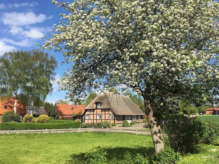 Ferienhaus für 6 Personen, mit Garten in Hohwacht