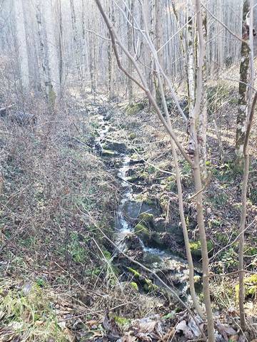 Vacation Rental for 6 Guests in Nantahala, Swain County, Picture 3