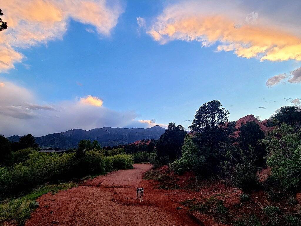 Walk to Garden of the Gods ☀ Propane Firepit & Fenced in Patio near Manitou in Colorado Springs, El Paso County (CO)
