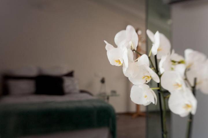 Chambre d’hôte pour 3 personnes, avec jardin et vue à Crema - 2