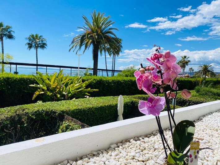 Gîte pour 8 personnes, avec jardin et vue dans Plage de l'Esplanade-des-Goëlands - 4