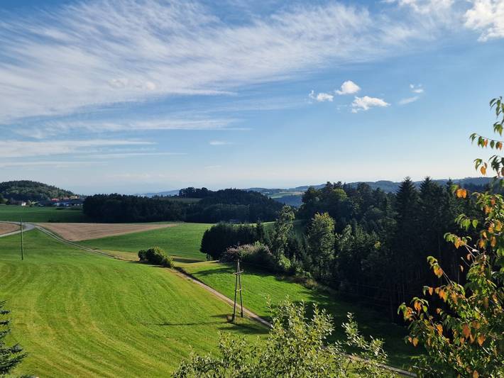 Ferienwohnung für 7 Personen, mit Garten