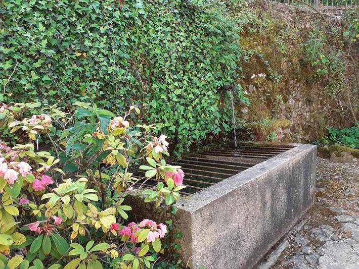 Chambre d’hôte pour 2 personnes, avec piscine et sauna ainsi que jardin et vue dans le Jura - 4