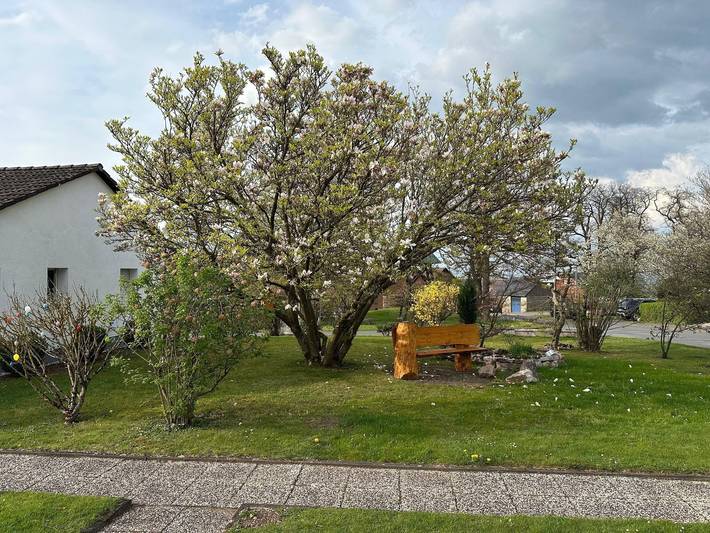 Ferienwohnung für 4 Personen, mit Balkon und Terrasse sowie Garten im Teutoburger Wald - 3