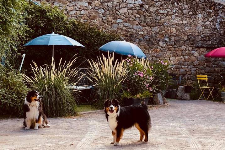 Location de vacances pour 4 personnes, avec jardin à Saint-Cyr (Ardèche) - 4