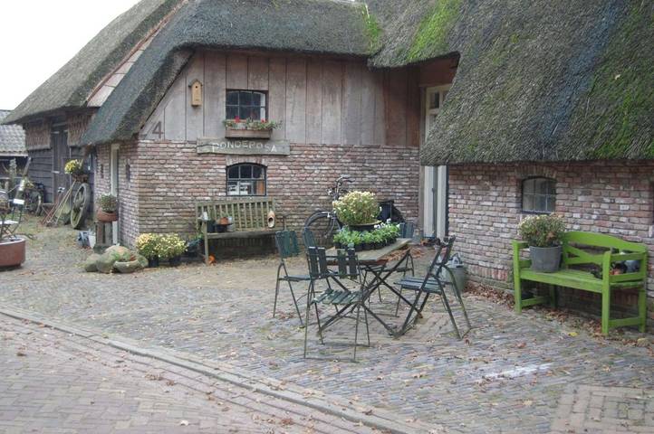 Chambre d’hôte pour 4 personnes, avec terrasse, animaux acceptés dans Drenthe