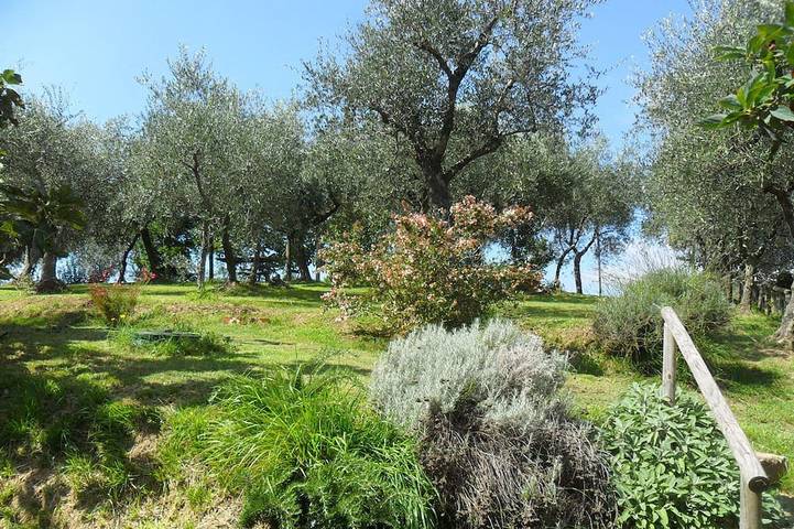 Caratteristico rustico toscano, grande giardino ad uso esclusivo. in Camaiore (Toscana), Riviera Toscana