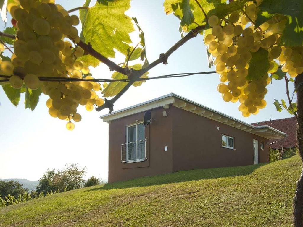 Bauernhof für 5 Personen in Hohenbrugg-Weinberg, Steirerland